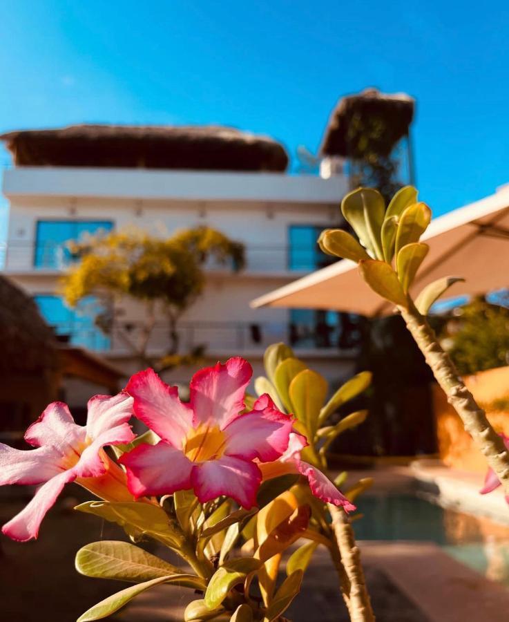 Auberge de jeunesse Surfnest Tamarindos à Brisas de Zicatela Extérieur photo
