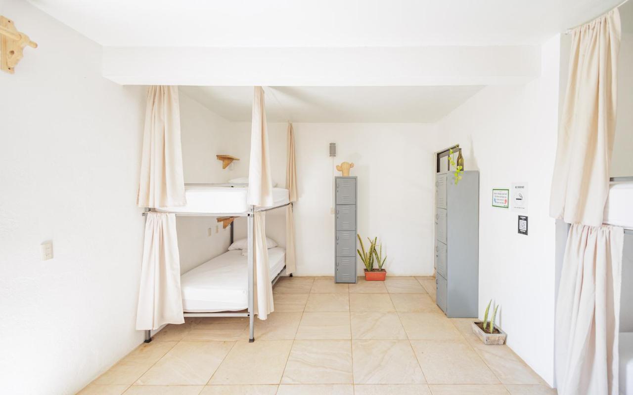 Auberge de jeunesse Surfnest Tamarindos à Brisas de Zicatela Extérieur photo