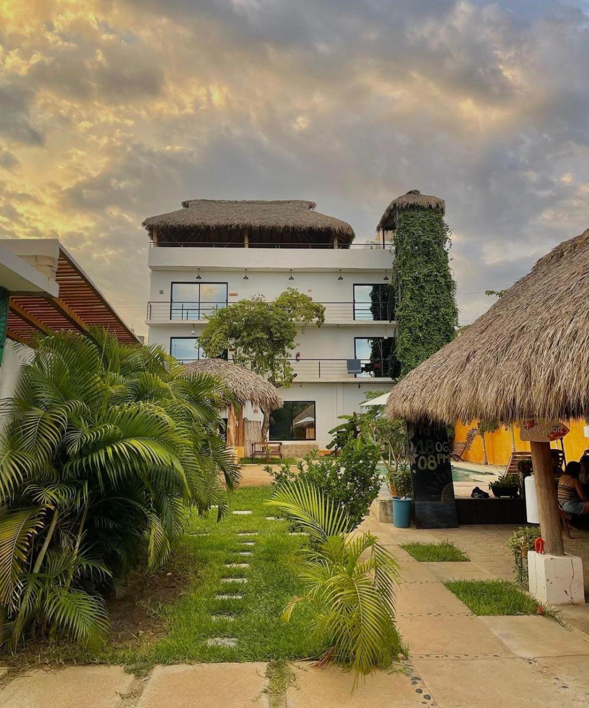 Auberge de jeunesse Surfnest Tamarindos à Brisas de Zicatela Extérieur photo